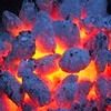 barbecue-fuel2-100h barbecue-fuel2-100h